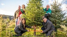 Forstministerin Michaela Kaniber und Staatsminister Dr. Florian Herrmann eröffneten die bayerische Christbaumsaison. Bild: Judith Schmidhuber / StMELF.