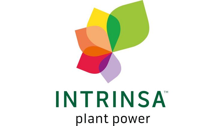 Dümmen Orange lanciert INTRINSA™  für nachhaltige Innovation in der Züchtung.