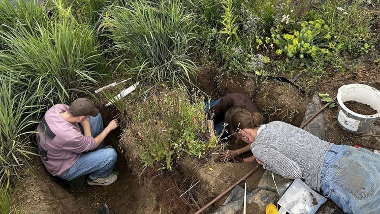 Im Graben sitzend oder liegend zeichneten die Studierenden die freigelegten Wurzeln ab. Bild: © Anne Stiller.