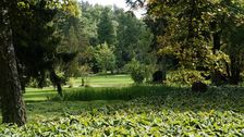 Parks und öffentliche Grünflächen wirken, müssen aber verbindlich geplant, fachgerecht gepflanzt und gebaut, stetig gepflegt und verlässlich finanziert werden. Bild: GABOT.