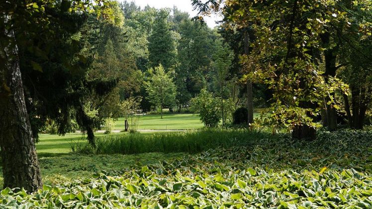 Parks und öffentliche Grünflächen wirken, müssen aber verbindlich geplant, fachgerecht gepflanzt und gebaut, stetig gepflegt und verlässlich finanziert werden. Bild: GABOT.