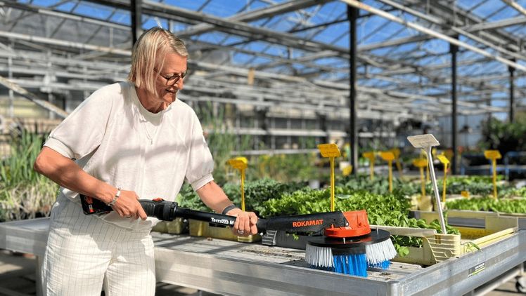 Der Greeny PRO entfernt Moos und Schmutz. Bild: Terrazza MC. 