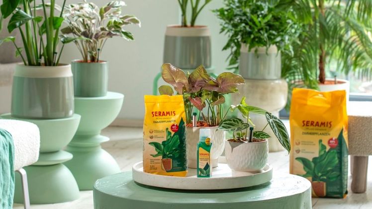 Seramis siegt in der Kategorie Gartenpflegeprodukte. Bild: Westland Deutschland GmbH.