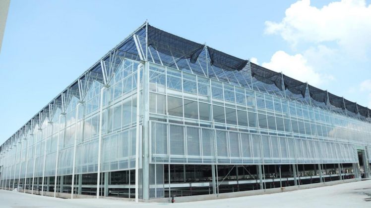 Der neue Standort in China von Deroose Plant. Bild: © Deroose Plant. 