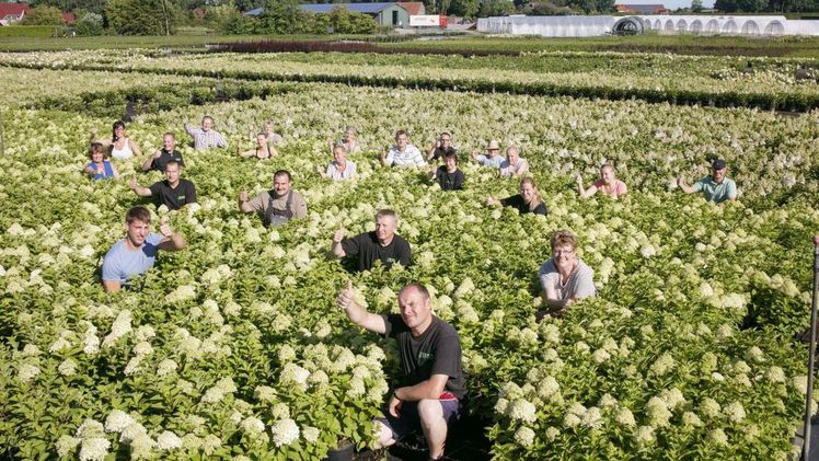 Ahlers Baumschule bindet Kundenwünsche bei Sortenauswahl ein. Bild: Ahlers Baumschule.