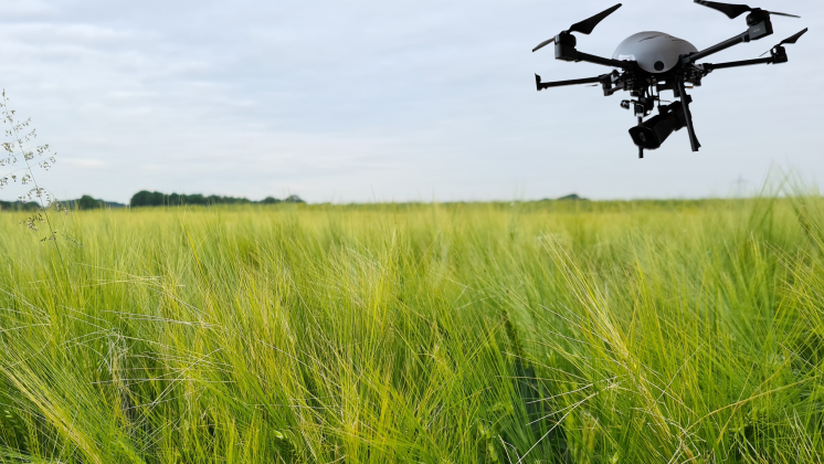 Digitale Technologien wie Drohnen und GPS-gesteuerte Roboter können dabei helfen, dass die Landwirtschaft ökologischer wird, indem z.B. der Einsatz von Düngemitteln verringert wird. Bild: © T. Krachunova.