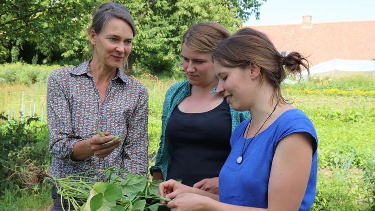 Forschung zu seltenen Gemüsesorten: Alexandra Becker (VERN e.V.), Josephine Lauterbach (HNEE) und Annika Grabau (Humboldt-Universität zu Berlin) im Garten des VERN e.V. in Greiffenberg (Brandenburg); v.l.n.r.. Bild: Annika Bischof.