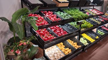 Impressionen vom IPM Discovery Center 2026. Bild: GABOT.