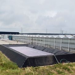 „Genap Energy Cover“, Genap B.V., Niederlande. Bild: FRUIT LOGISTICA.