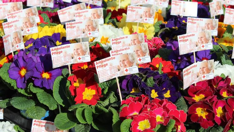 Gärtnerei Löwer spendete dem DRK in Mömlingen Blumen. Foto: Bayrisches Rotes Kreuz, Kreisverband Miltenberg-Obernburg.