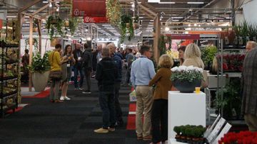 Die Trade Fair Aalsmeer findet wieder im November statt. Bild: GABOT. 