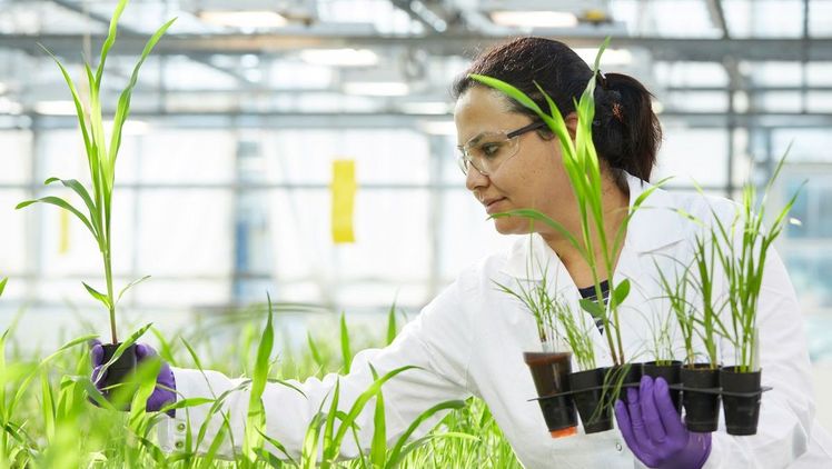 Das F&E-Team von Bayer Crop Science setzt seine wertorientierten F&E-Projekte beständig in neue, innovative Produkte um. Davon profitieren Landwirte, Verbraucher und die Umwelt. Bild: Bayer. Das F&E-Team von Bayer Crop Science setzt seine wertorientierten F&E-Projekte beständig in neue, innovative Produkte um. Davon profitieren Landwirte, Verbraucher und die Umwelt. Bild: Bayer.