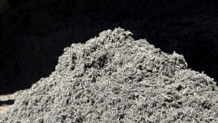 Mit CORF® entwickelt bionero eine neue Generation leistungsfähiger Substratrohstoffe auf Basis nachwachsender Ressourcen. Bild: bionero GmbH.