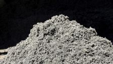 Mit CORF® entwickelt bionero eine neue Generation leistungsfähiger Substratrohstoffe auf Basis nachwachsender Ressourcen. Bild: bionero GmbH.