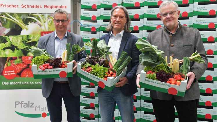 Jetzt ist es offiziell und so früh wie lange nicht: Die Frischgemüse-Saison bei Pfalzmarkt eG in Mutterstadt ist eröffnet. Über das prall und erntefrisch mit Frühlingsgemüse aus der Pfalz gefüllte Erntekörbchen freuen sich der Aufsichtsratsvorsitzende von Pfalzmarkt eG Christian Deyerling (Mitte) und die beiden Pfalzmarkt-Vorstände Hans-Jörg Friedrich (rechts) und Reinhard Oerther. Bild: Pfalzmarkt eG.