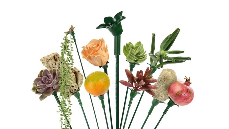 FlexiFlora™ ist ein vielseitiges und praktisches Accessoire. Bild: Zunino Cactus.