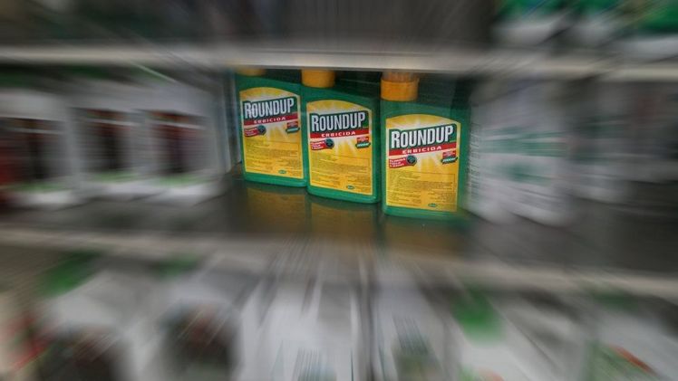 Roundup ist der bekannteste Markennamen bei glyphosathaltigen Pflanzenschutzmitteln. Bild: GABOT.