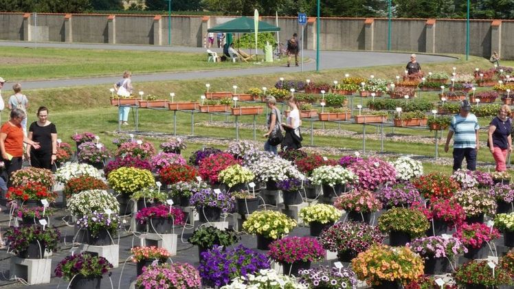 Pillnitzer Gartentag am 2. Juli. Bild: LfULG.