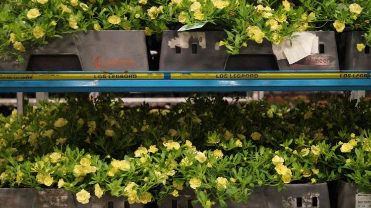 Mehr Nachhaltigkeit in Produktion und Handel gewünscht. Bild: GABOT.