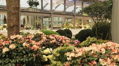 Bruns Pflanzen Export