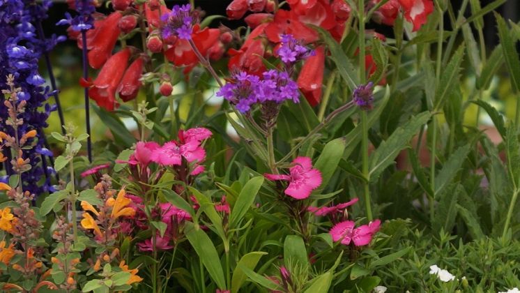 Wintertagung des Bundes deutscher Staudengärtner (BdS) vom 11.-13. Februar 2025 in Grünberg. Bild: GABOT.