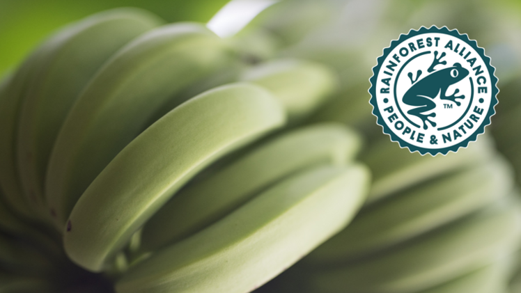 Seit über 130 Jahren versorgt Fyffes Millionen Menschen auf der ganzen Welt mit erlesenen, tropischen Produkten. Bild: Fyffes.