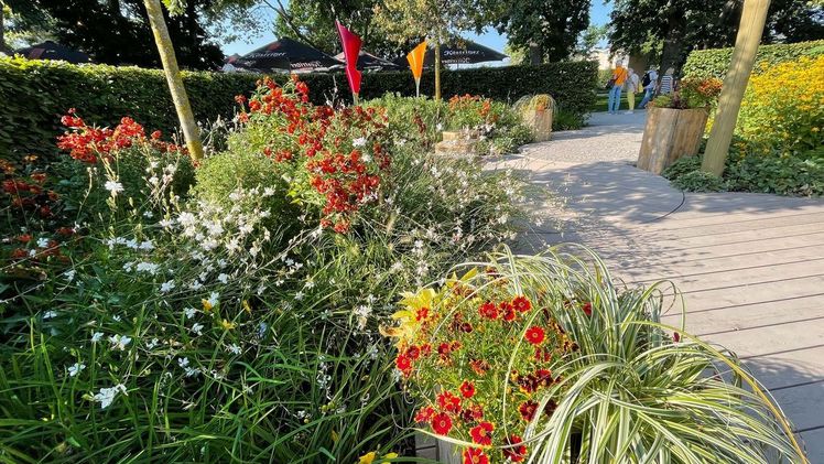Themengarten der Firma Gartenbau Eberhardt auf der Bundesgartenschau in Erfurt. Bild: FGL.