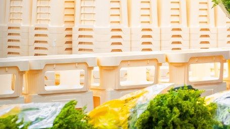 Am 11. November 2019 startet der Einsatz von Fc588 für zehn Saisonblumen. Bild: Royal FloraHolland.Am 11. November 2019 startet der Einsatz von Fc588 für zehn Saisonblumen. Bild: Royal FloraHolland.