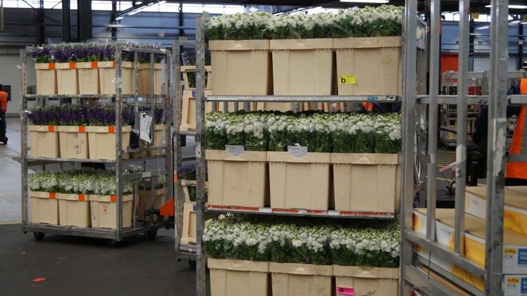 Neue Bedingungen für die Nutzung von Stapelwagen und Verpackungen ab 30. September 2024. Bild: GABOT.