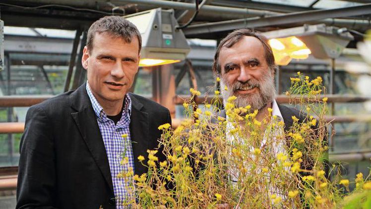 Prof. Dr. Andreas Weber (l.) und Prof. Dr. Peter Westhoff arbeiten an einer europäischen Roadmap zur Pflanzenzüchtungsforschung. Bild: HHU / Jörg Reich.