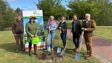 Erfolgreiche Pflanzung des "Baumes des Jahres 2026" in Lindern mit Parlamentarischer Staatssekretärin Silvia Breher. Bild: Baum des Jahres.
