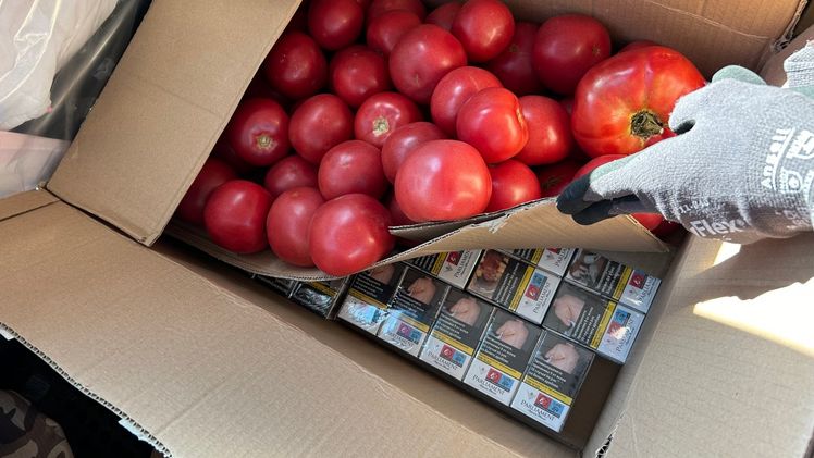 Schmuggelzigaretten unter einer Ladung Tomaten. Bild: Zoll.