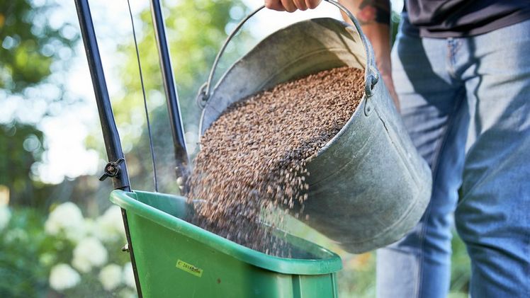 Der neue COMPO Turbo-Rasendünger ist organisch-mineralisch und somit nachhaltiger. Bild: COMPO.