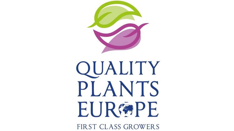 Quality Plants Europe B.V. wurde für insolvent erklärt.  