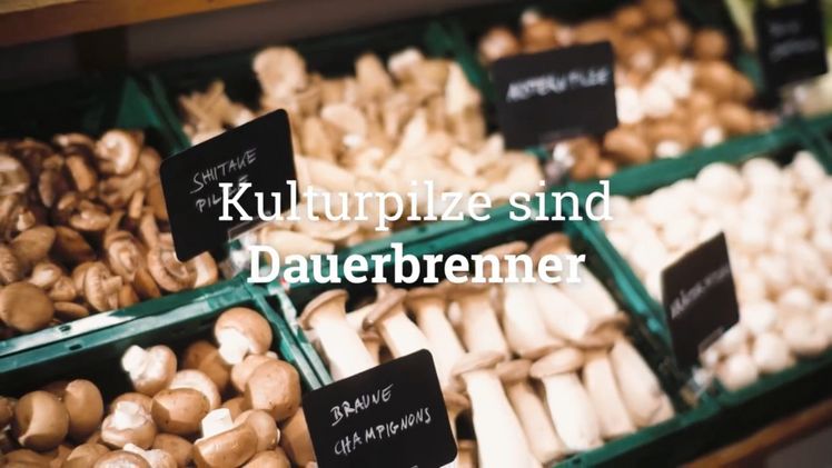 Neuer Werbefilm des BDC. Bild: BDC.