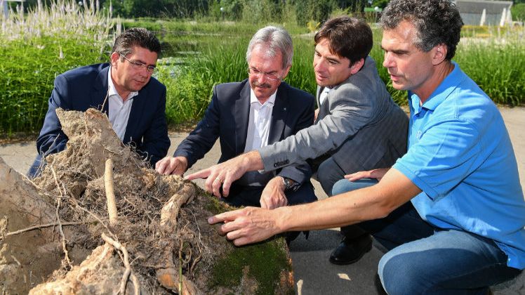 Eschen - DIE GARTEN TULLN II - Tullns Bürgermeister Peter Eisenschenk, Landesrat Karl Wilfing, DIE GARTEN TTULLN Geschäftsführer Franz Gruber und DIE GARTEN TULLN Gartenleiter Thomas Uibel. Bild: DIE GARTEN TULLN.
