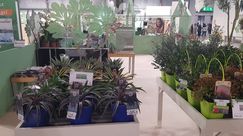 Myplant & Garden - Garten Center New Trend. Bild: GABOT.