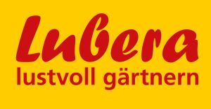 Stellvertreter des Betriebsleiters