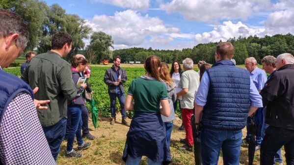 Der Kartoffeltag in Straß ist eine gute Gelegenheit, sich über die neuesten Erkenntnisse im Kartoffelanbau zu informieren. Bild: LfL.