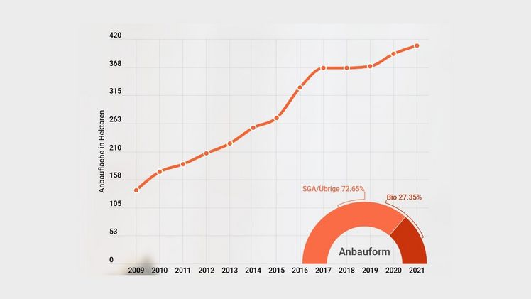 Die Speisekürbis-Anbaufläche hat sich seit 2009 beinahe verdreifacht. Grafik: LID.