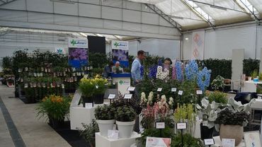 Impressionen von der Garden Trials and Trade 2019 in Hazerswoude-Dorp. Bild: GABOT. 