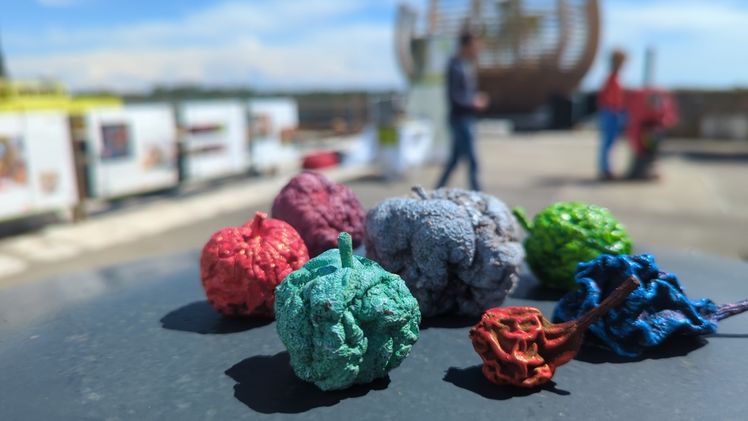 Vielfältiges Streuobst auf der Biennale. Bild: Hochstamm Deutschland.