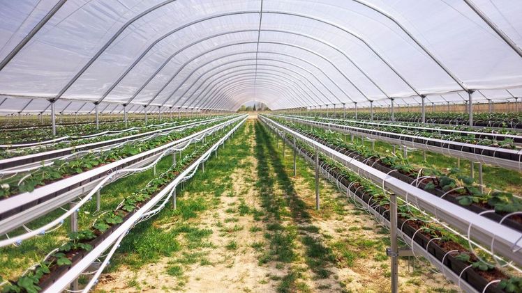 2LEVEL Stationary von Growtec. Bild: Growtec.