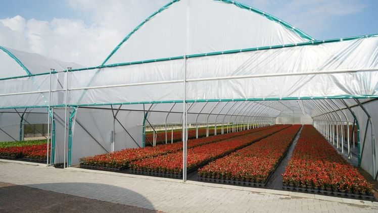 Rolltore über die gesamte Breite ermöglichen vereinfachten Zugriff mit Maschinen. Bild: Harries Plantdesign.