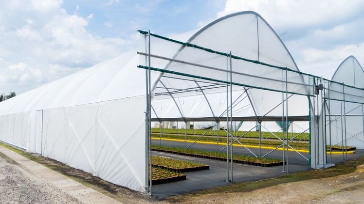 Dank der Rolltore über die ganze Breite ist der Falcon-Tunnel für Maschinen befahrbar. Bild: Haygrove.