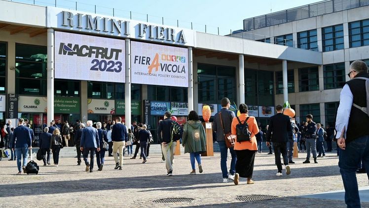 Eine rekordverdächtige Macfrut 2023 ist jetzt zu Ende gegangen. Bild: Macfrut.