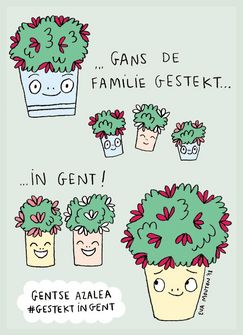 Farbenfrohe Azaleen-Akzente für Gent.