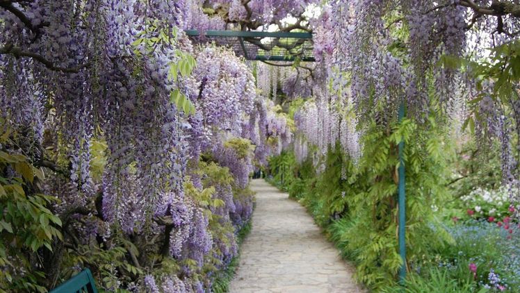 Parks und Grünflächen sorgen im urbanen Raum nachhaltig für die Lebensqualität von Bewohnern und Besuchern.Bild: Ruth Bindewald.