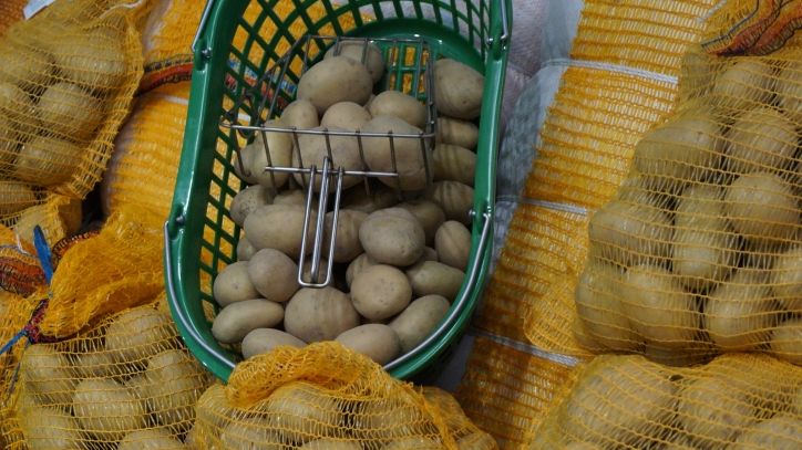 Im Wirtschaftsjahr 2018/19 verbrauchte jeder Bundesbürger 55,4 kg Kartoffeln. Bild: GABOT.