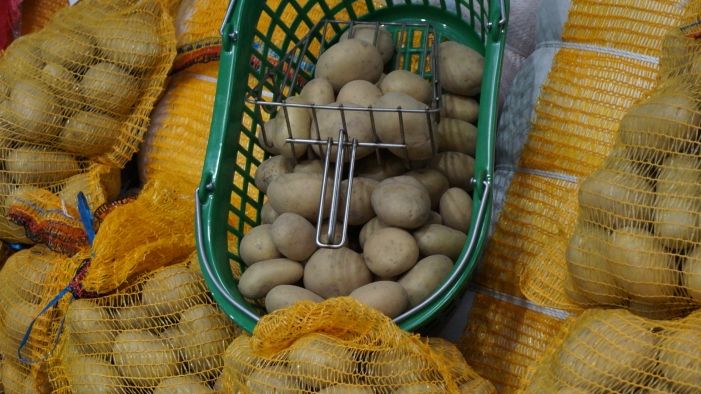 Trotz Kälte-und Hitzestress entwickelten sich die Kartoffeln mehrheitlich gut. Bild: GABOT.